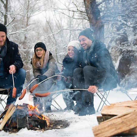 Forest Chalet, 15 Min To Salzburg Olt Town, And Most Beautiful Lakes, Secluded Location, 1,000 Sqm Garden, Mountainview, Panorama Sauna, Bath Whirlpool, Bbq&Bikes&Sunbeds For Free, Up To 10 P Golling an der Salzach Kültér fotó