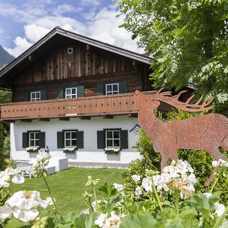 Forest Chalet, 15 Min To Salzburg Olt Town, And Most Beautiful Lakes, Secluded Location, 1,000 Sqm Garden, Mountainview, Panorama Sauna, Bath Whirlpool, Bbq&Bikes&Sunbeds For Free, Up To 10 P Golling an der Salzach Kültér fotó