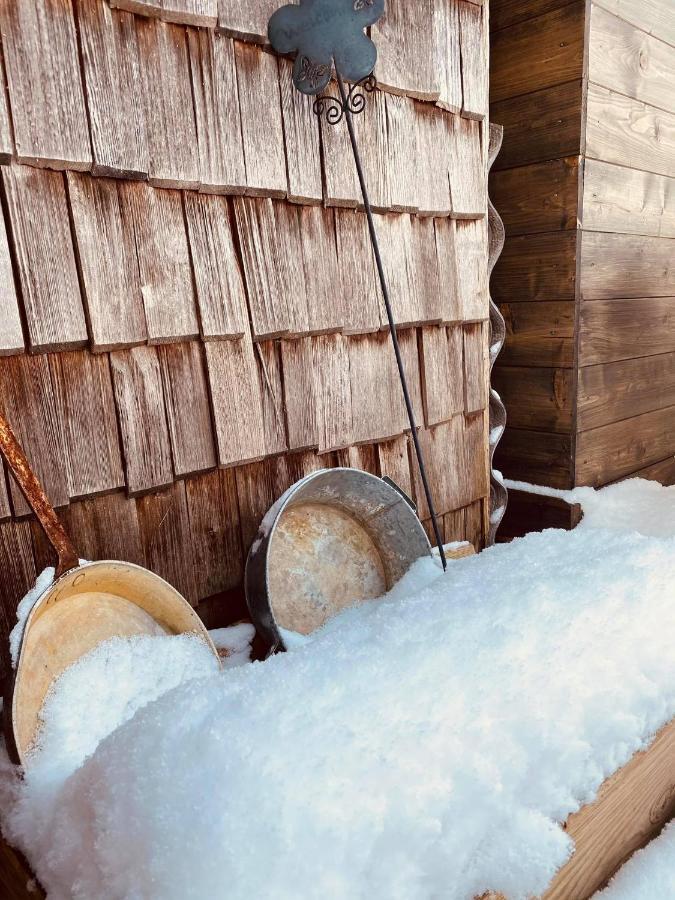 Forest Chalet, 15 Min To Salzburg Olt Town, And Most Beautiful Lakes, Secluded Location, 1,000 Sqm Garden, Mountainview, Panorama Sauna, Bath Whirlpool, Bbq&Bikes&Sunbeds For Free, Up To 10 P Golling an der Salzach Kültér fotó