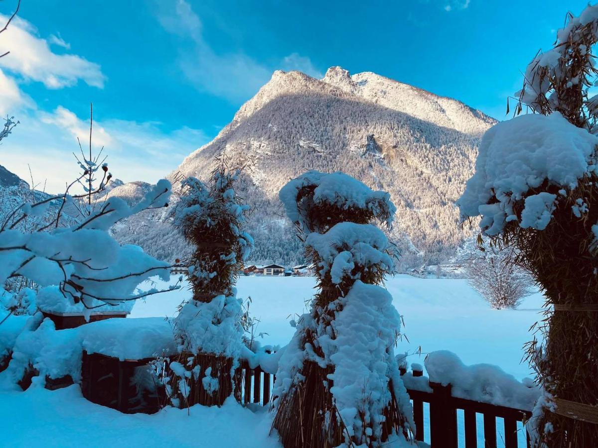 Forest Chalet, 15 Min To Salzburg Olt Town, And Most Beautiful Lakes, Secluded Location, 1,000 Sqm Garden, Mountainview, Panorama Sauna, Bath Whirlpool, Bbq&Bikes&Sunbeds For Free, Up To 10 P Golling an der Salzach Kültér fotó