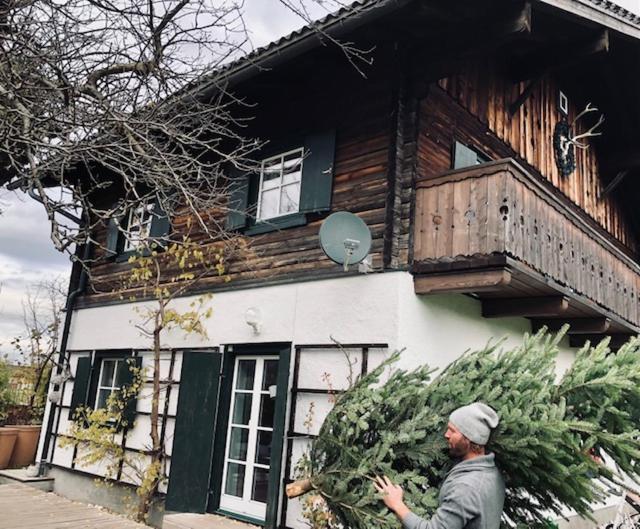 Forest Chalet, 15 Min To Salzburg Olt Town, And Most Beautiful Lakes, Secluded Location, 1,000 Sqm Garden, Mountainview, Panorama Sauna, Bath Whirlpool, Bbq&Bikes&Sunbeds For Free, Up To 10 P Golling an der Salzach Kültér fotó
