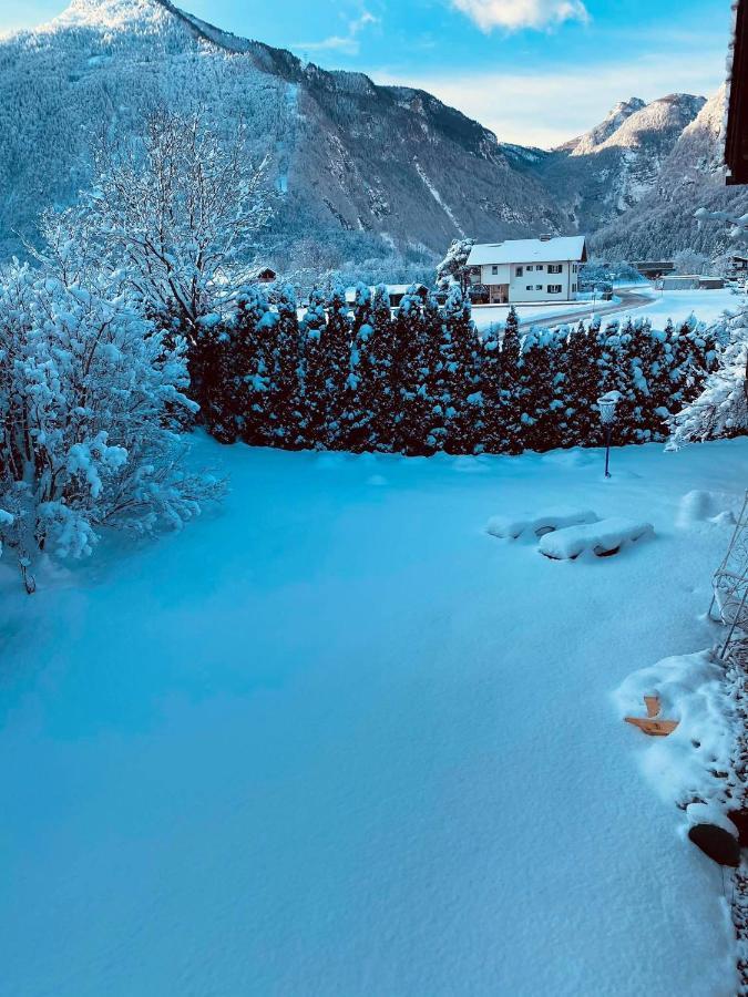 Forest Chalet, 15 Min To Salzburg Olt Town, And Most Beautiful Lakes, Secluded Location, 1,000 Sqm Garden, Mountainview, Panorama Sauna, Bath Whirlpool, Bbq&Bikes&Sunbeds For Free, Up To 10 P Golling an der Salzach Kültér fotó
