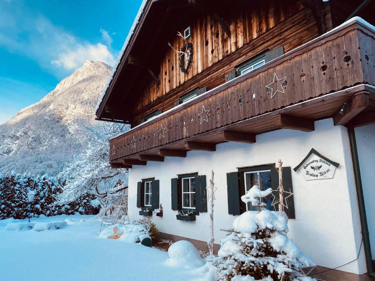 Forest Chalet, 15 Min To Salzburg Olt Town, And Most Beautiful Lakes, Secluded Location, 1,000 Sqm Garden, Mountainview, Panorama Sauna, Bath Whirlpool, Bbq&Bikes&Sunbeds For Free, Up To 10 P Golling an der Salzach Kültér fotó