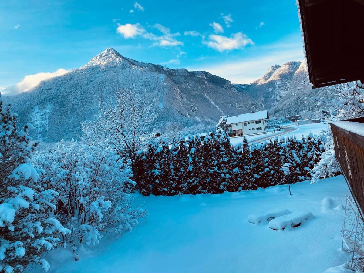 Forest Chalet, 15 Min To Salzburg Olt Town, And Most Beautiful Lakes, Secluded Location, 1,000 Sqm Garden, Mountainview, Panorama Sauna, Bath Whirlpool, Bbq&Bikes&Sunbeds For Free, Up To 10 P Golling an der Salzach Kültér fotó