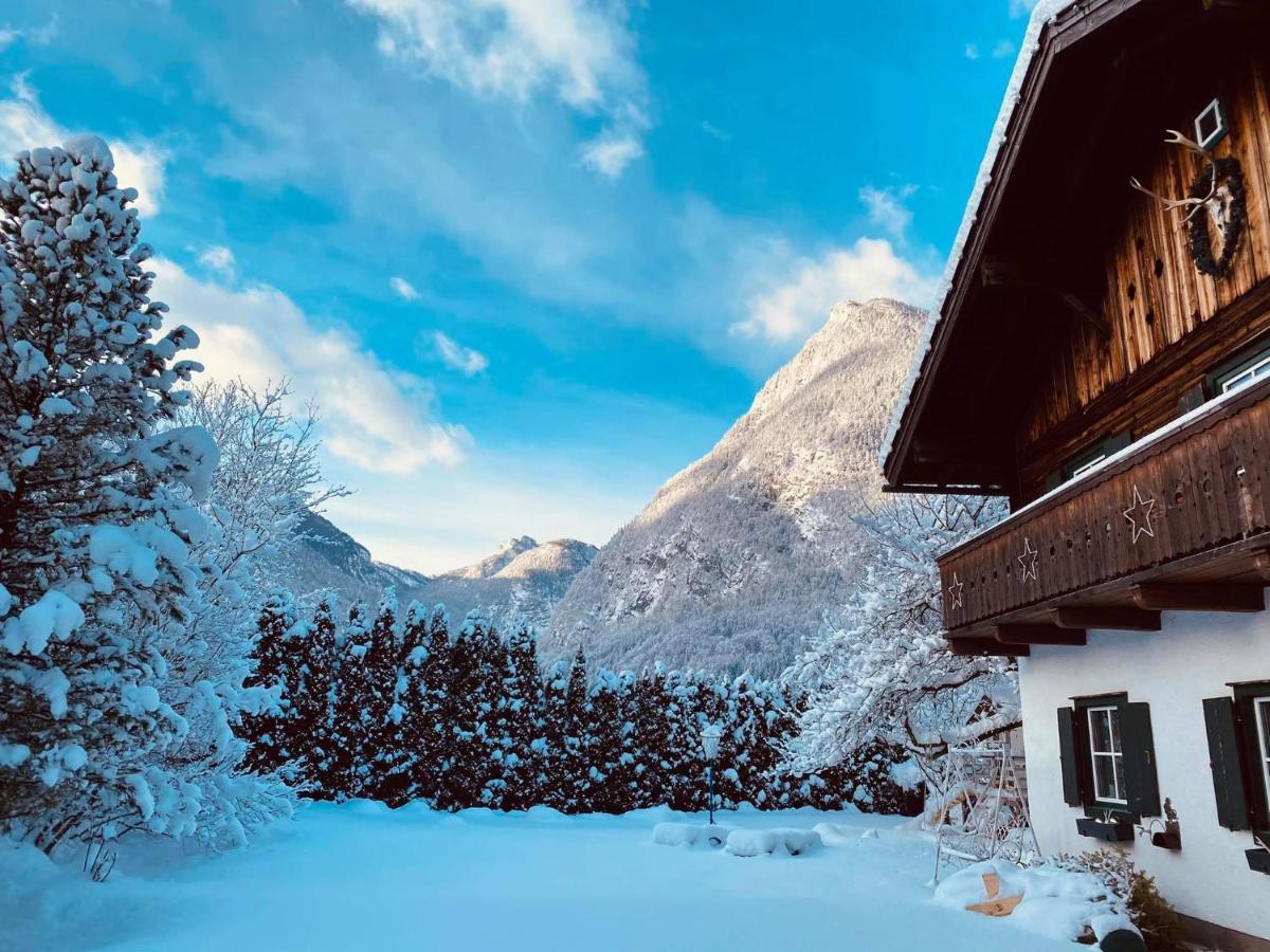 Forest Chalet, 15 Min To Salzburg Olt Town, And Most Beautiful Lakes, Secluded Location, 1,000 Sqm Garden, Mountainview, Panorama Sauna, Bath Whirlpool, Bbq&Bikes&Sunbeds For Free, Up To 10 P Golling an der Salzach Kültér fotó