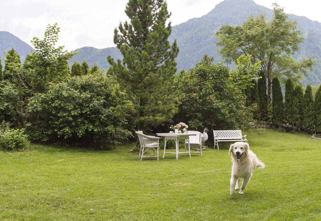Forest Chalet, 15 Min To Salzburg Olt Town, And Most Beautiful Lakes, Secluded Location, 1,000 Sqm Garden, Mountainview, Panorama Sauna, Bath Whirlpool, Bbq&Bikes&Sunbeds For Free, Up To 10 P Golling an der Salzach Kültér fotó