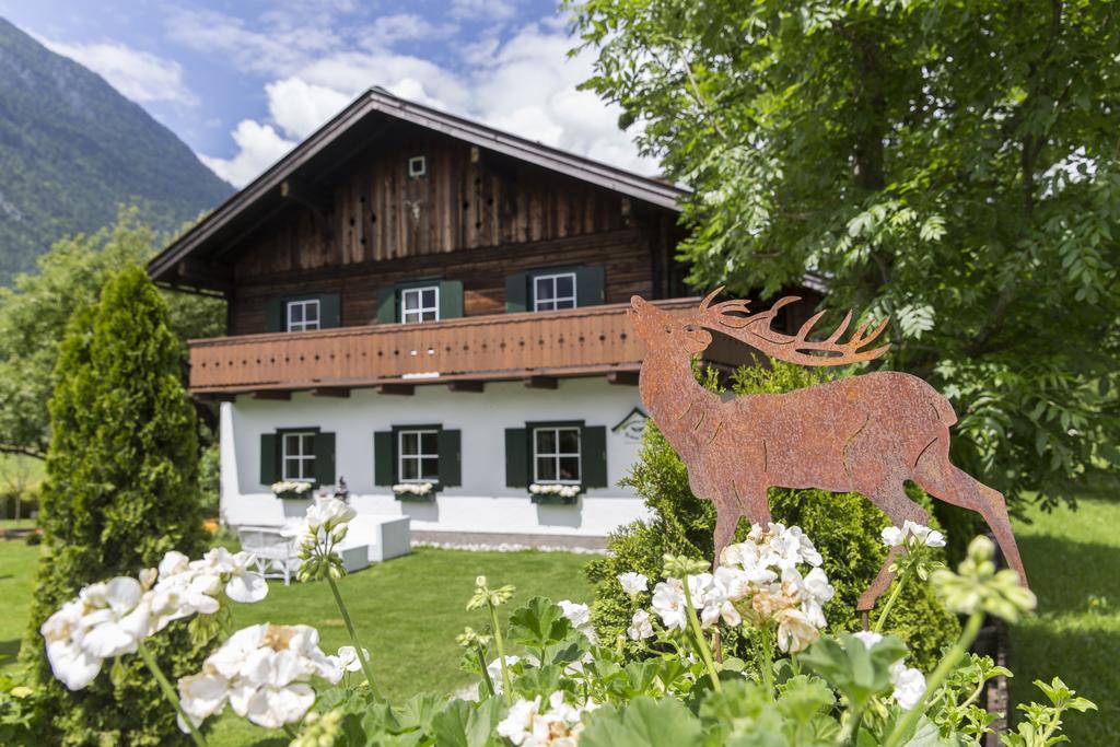 Forest Chalet, 15 Min To Salzburg Olt Town, And Most Beautiful Lakes, Secluded Location, 1,000 Sqm Garden, Mountainview, Panorama Sauna, Bath Whirlpool, Bbq&Bikes&Sunbeds For Free, Up To 10 P Golling an der Salzach Kültér fotó