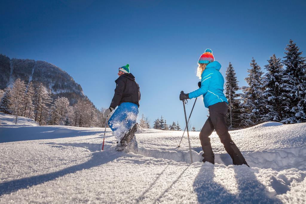 Forest Chalet, 15 Min To Salzburg Olt Town, And Most Beautiful Lakes, Secluded Location, 1,000 Sqm Garden, Mountainview, Panorama Sauna, Bath Whirlpool, Bbq&Bikes&Sunbeds For Free, Up To 10 P Golling an der Salzach Kültér fotó