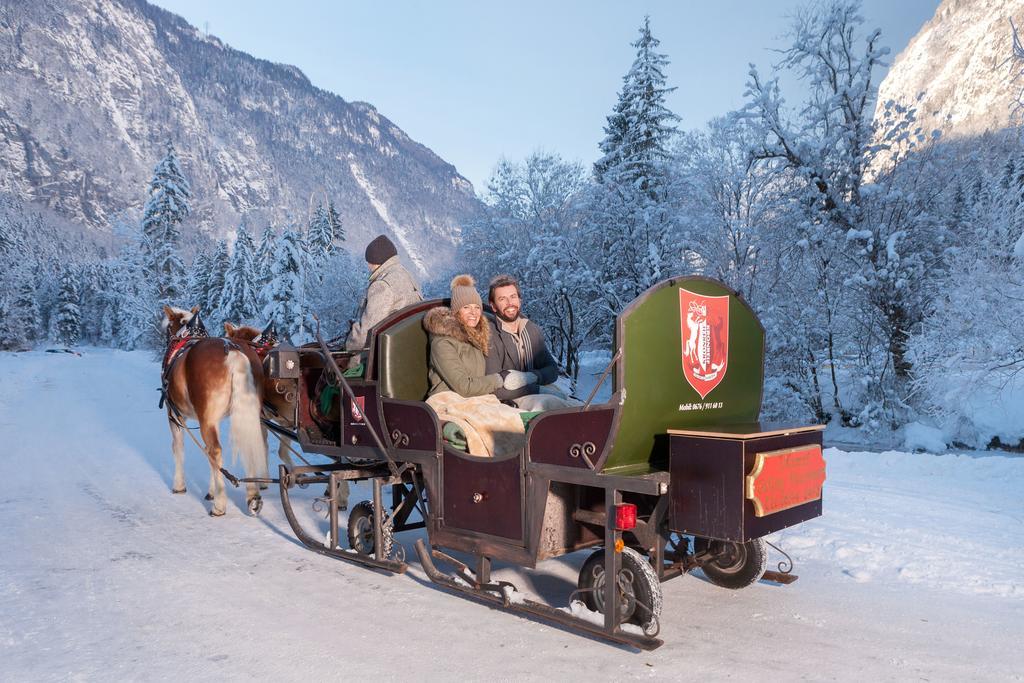 Forest Chalet, 15 Min To Salzburg Olt Town, And Most Beautiful Lakes, Secluded Location, 1,000 Sqm Garden, Mountainview, Panorama Sauna, Bath Whirlpool, Bbq&Bikes&Sunbeds For Free, Up To 10 P Golling an der Salzach Kültér fotó