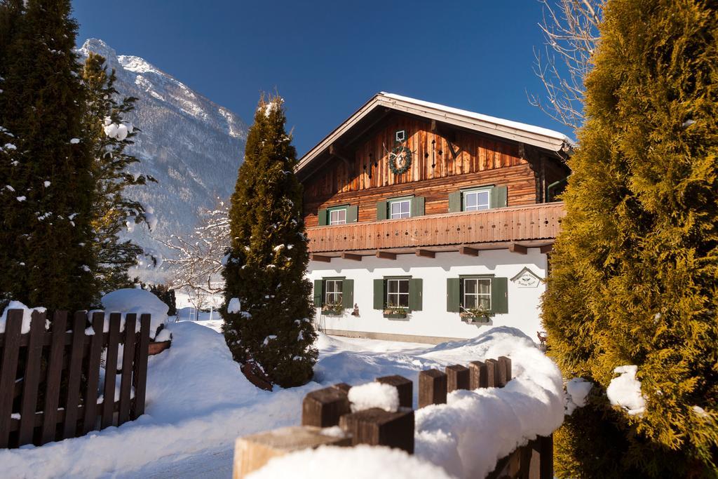 Forest Chalet, 15 Min To Salzburg Olt Town, And Most Beautiful Lakes, Secluded Location, 1,000 Sqm Garden, Mountainview, Panorama Sauna, Bath Whirlpool, Bbq&Bikes&Sunbeds For Free, Up To 10 P Golling an der Salzach Kültér fotó