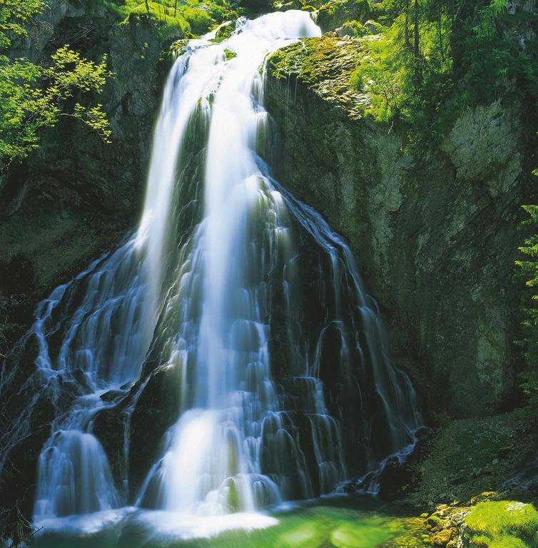 Forest Chalet, 15 Min To Salzburg Olt Town, And Most Beautiful Lakes, Secluded Location, 1,000 Sqm Garden, Mountainview, Panorama Sauna, Bath Whirlpool, Bbq&Bikes&Sunbeds For Free, Up To 10 P Golling an der Salzach Kültér fotó