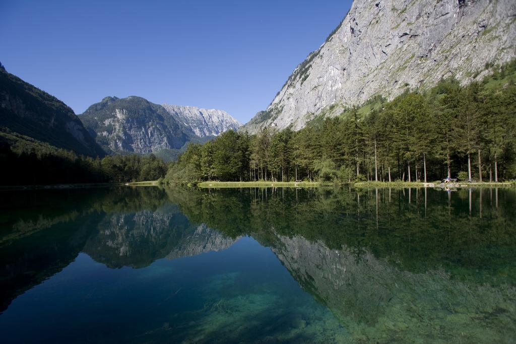 Forest Chalet, 15 Min To Salzburg Olt Town, And Most Beautiful Lakes, Secluded Location, 1,000 Sqm Garden, Mountainview, Panorama Sauna, Bath Whirlpool, Bbq&Bikes&Sunbeds For Free, Up To 10 P Golling an der Salzach Kültér fotó